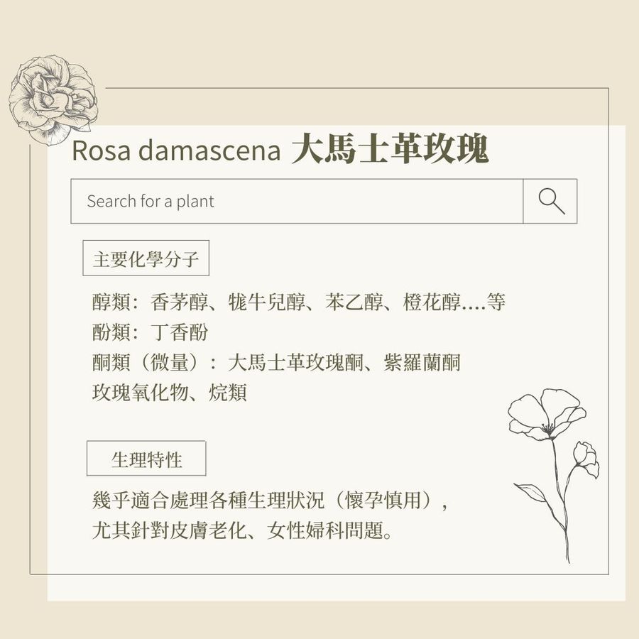 大馬士革玫瑰精油是多分子精油，微量的「大馬士革玫瑰酮」和「玫瑰氧化物」是帶給玫瑰精油靈魂氣味的成分