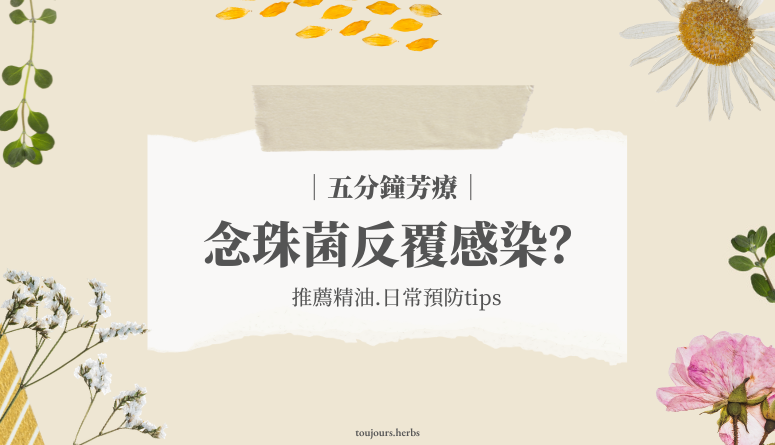 念珠菌精油使用 念珠菌精油推薦 陰道念珠菌芳香療法